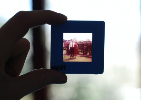 A film slide held up to the light